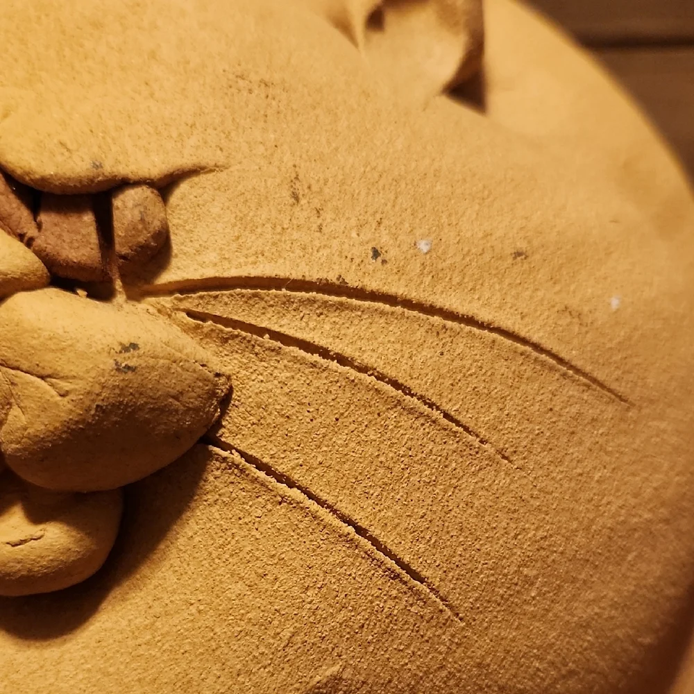 Fat Cat Piggy Bank